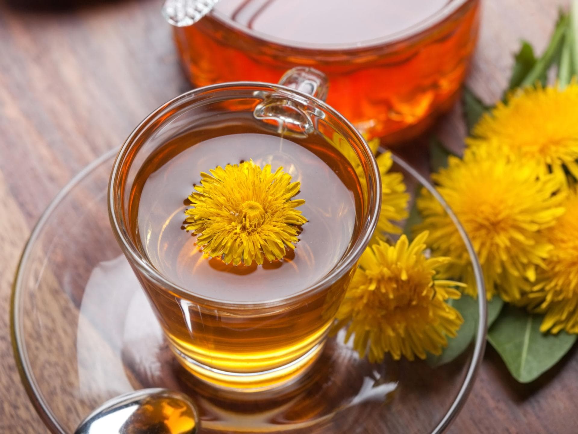 Detox-Tee mit frischem Löwenzahn