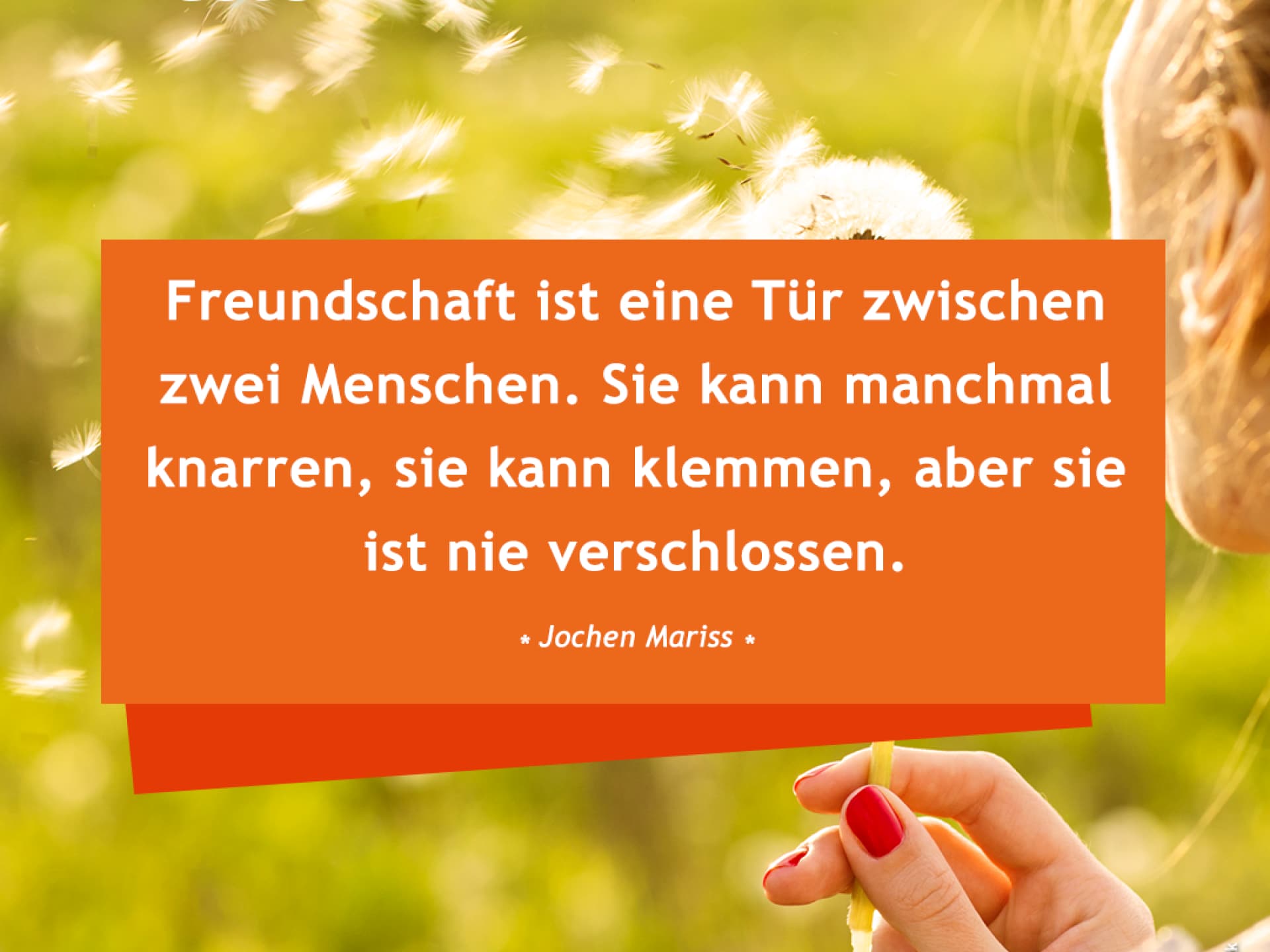 Freundschaft ist eine Tür zwischen zwei menschen. Sie kann manchmal knarren, sie kann klemmen, aber sie ist nie verschlossen. 