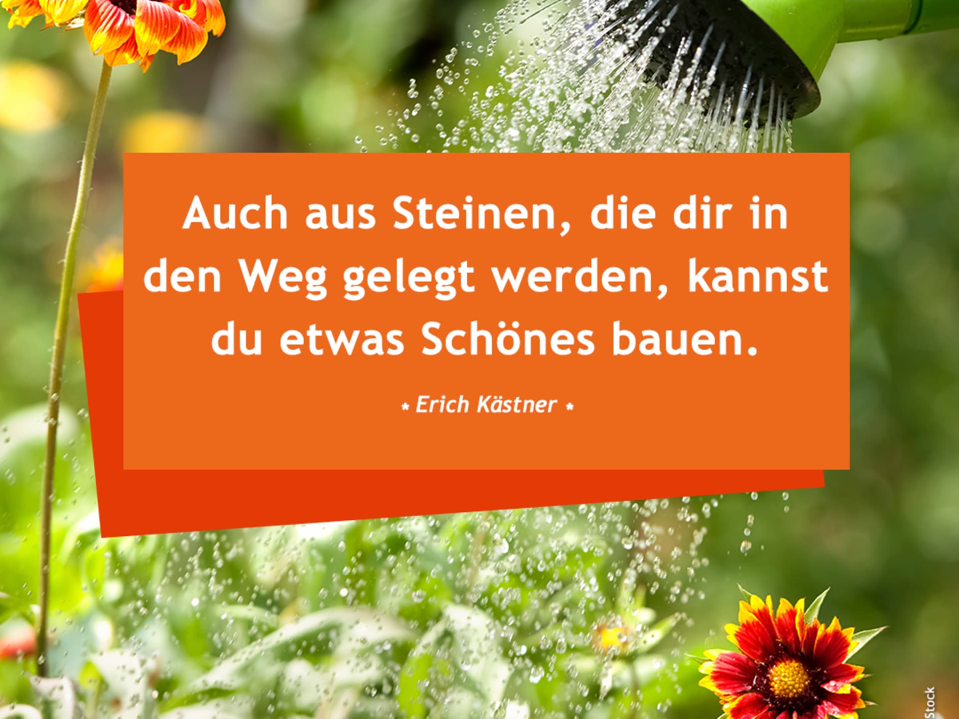 Auch aus Steinen, die dir in den Weg gelegt werden, kannst du etwas schönes bauen. 