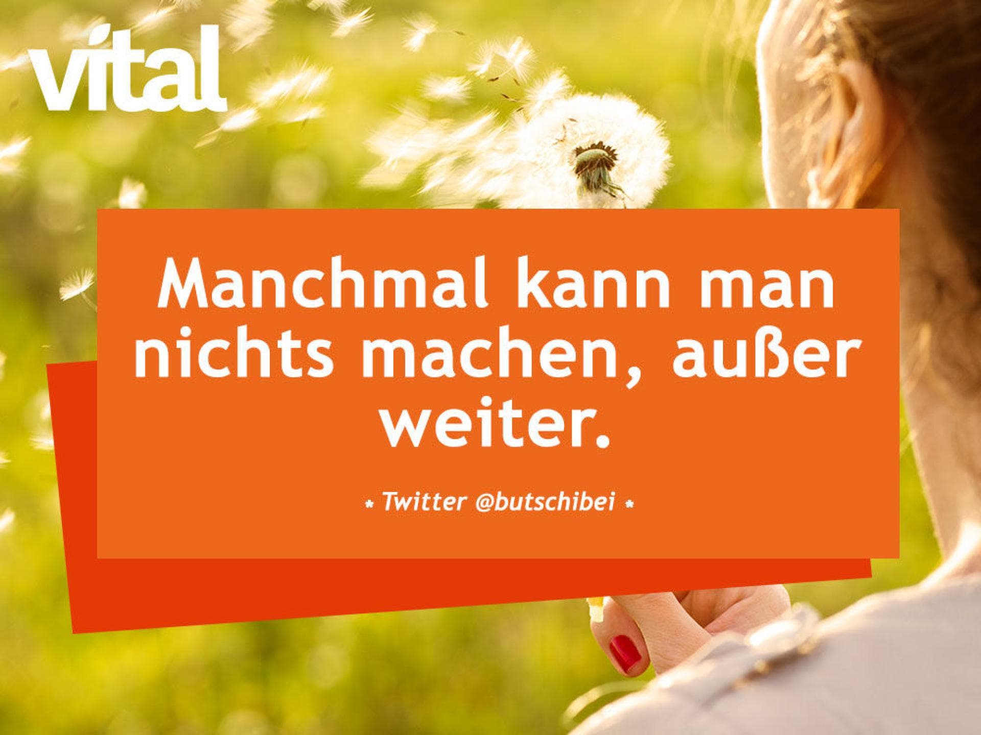 Manchmal kann man nichts machen, außer weiter. 