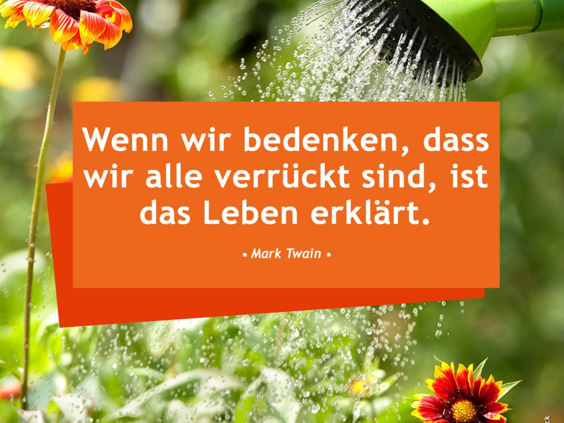 Wenn wir bedenken, dass wir alle verrückt sind, ist das Leben erklärt. - Mark Twain