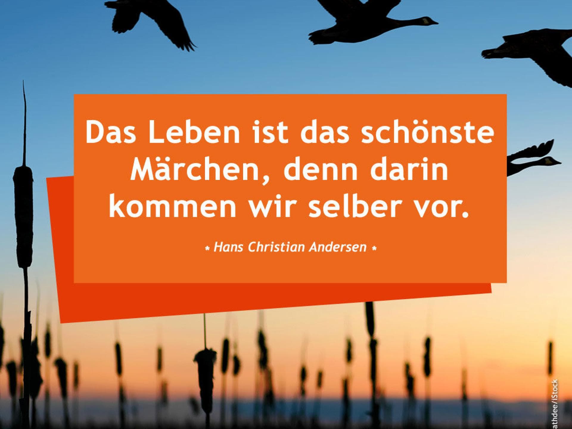 Das Leben ist das schönste Märchen, denn darin kommen wir selber vor.