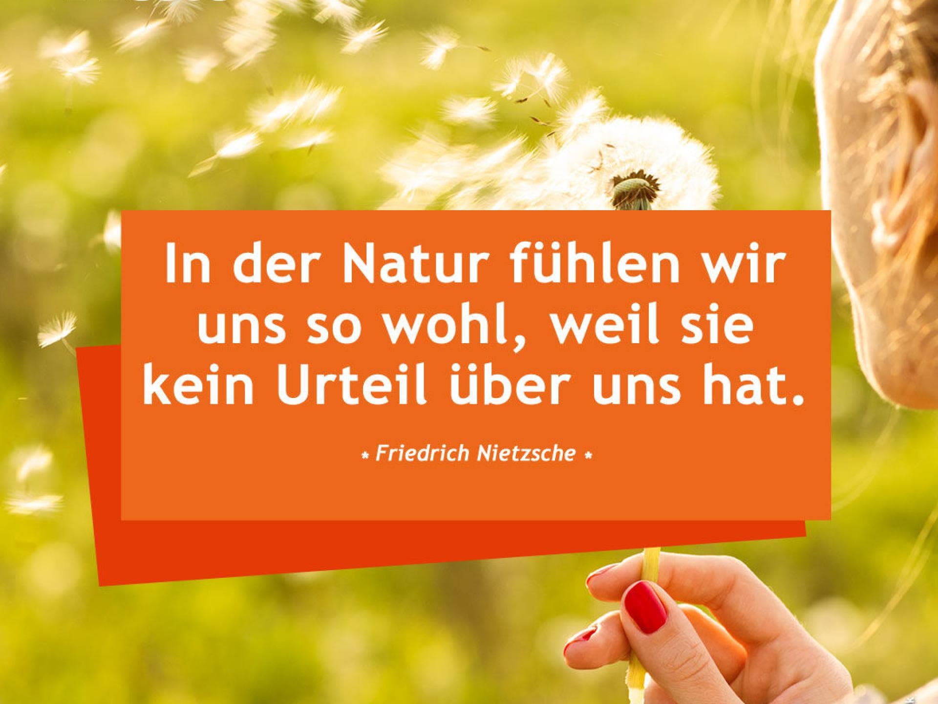 In der Natur fühlen wir uns wohl, weil sie kein urteil über uns hat. 