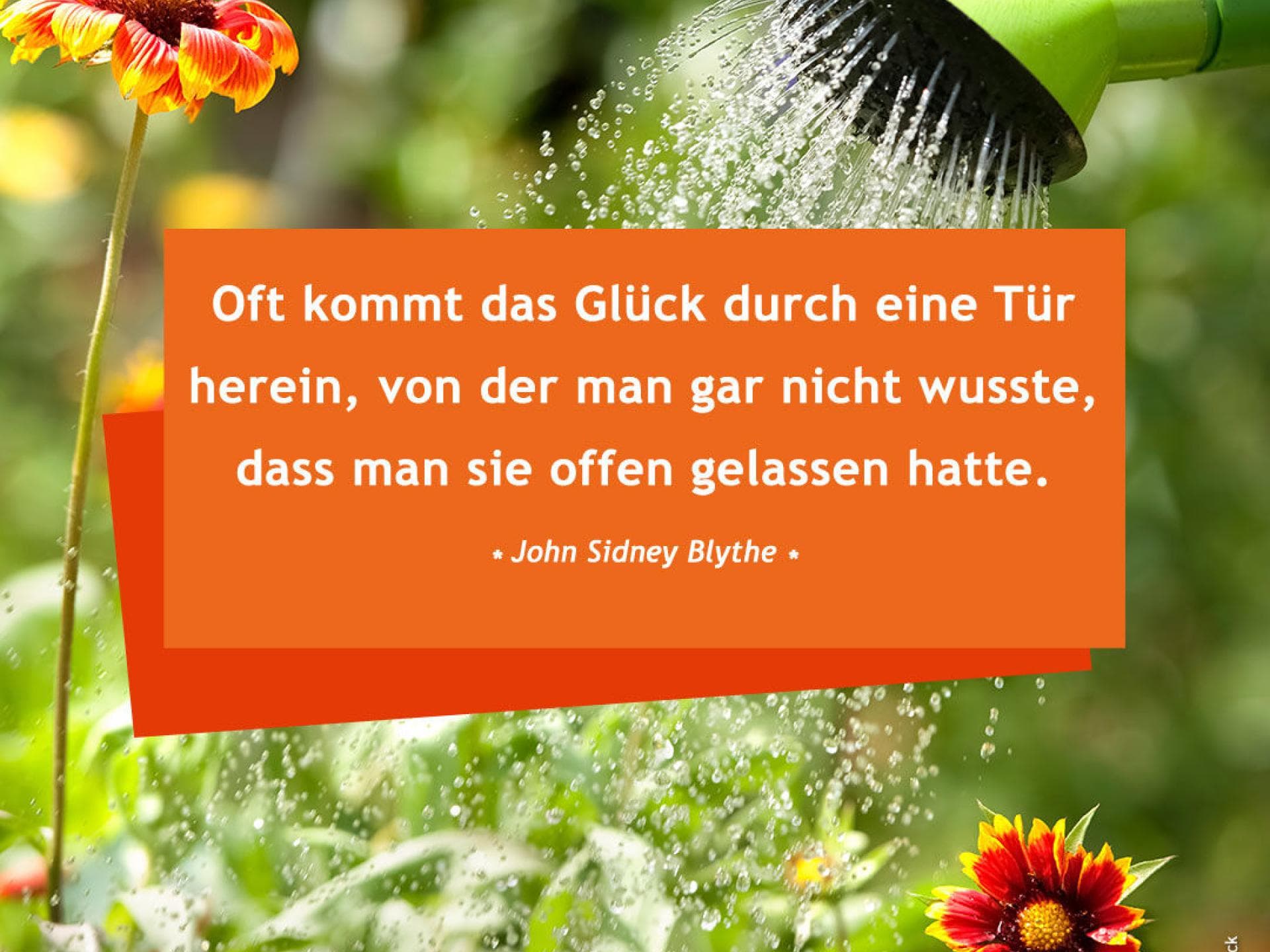 Oft kommt das Glück durch eine Tür herein, von der man gar nicht wusste, dass man sie offen gelassen hatte. John Sidney Blythe