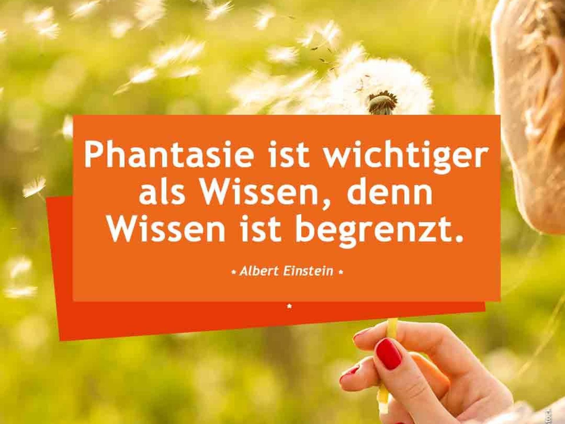 Phantasie ist wichtiger als Wissen, denn Wissen ist begrenzt. - Albert Einstein