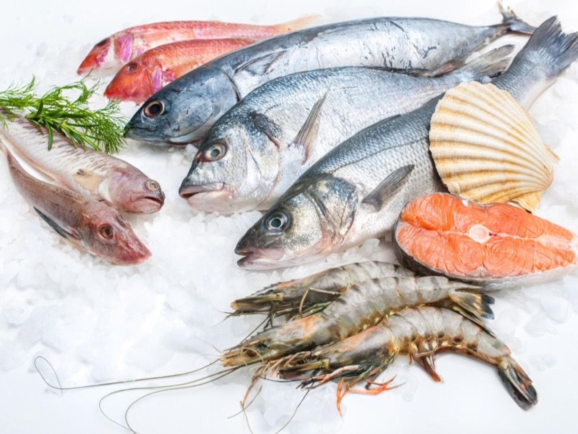 Meeresfrüchte stecken voller Omega-3-Fettsäuren.