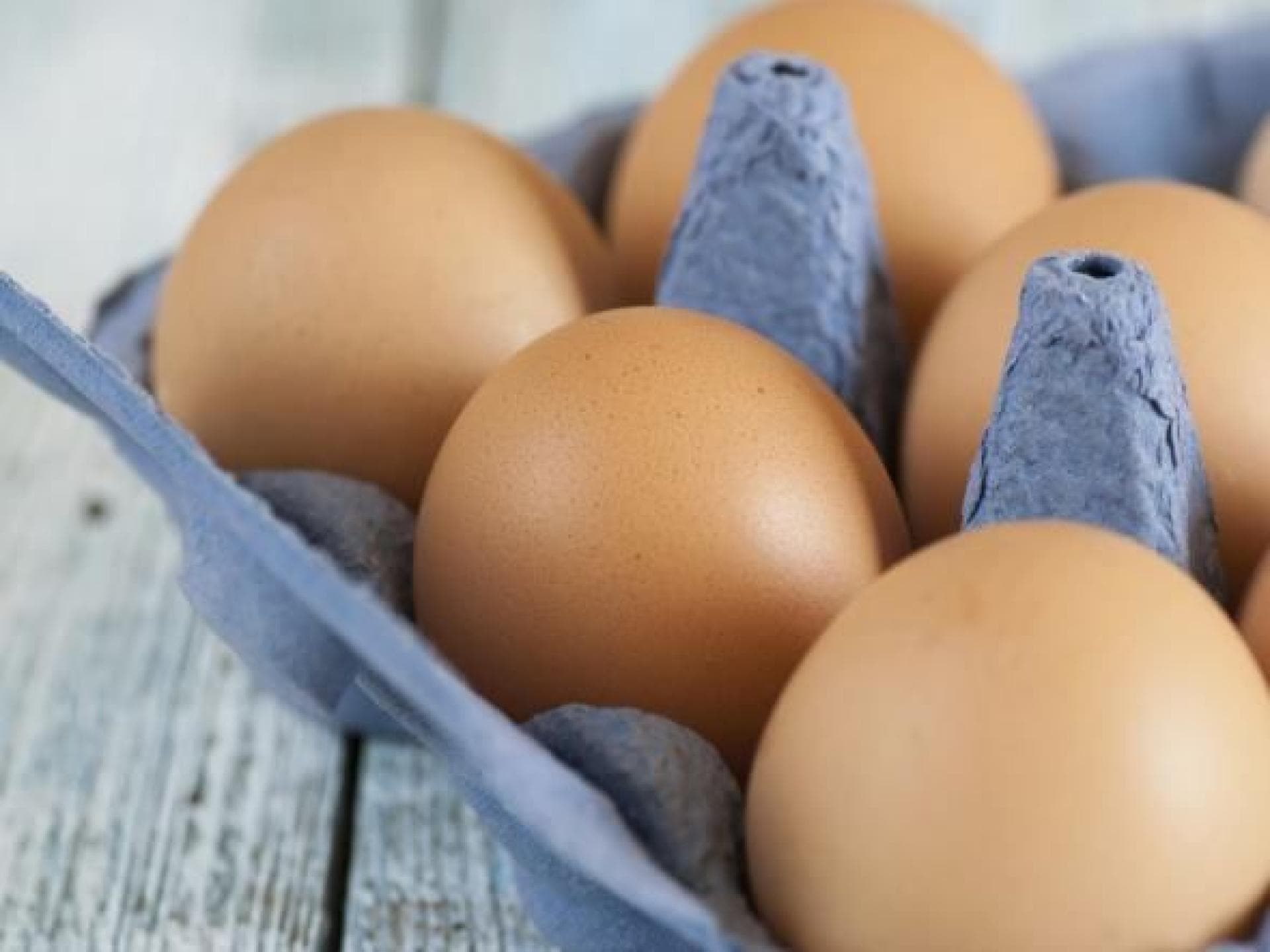 Eier Eier