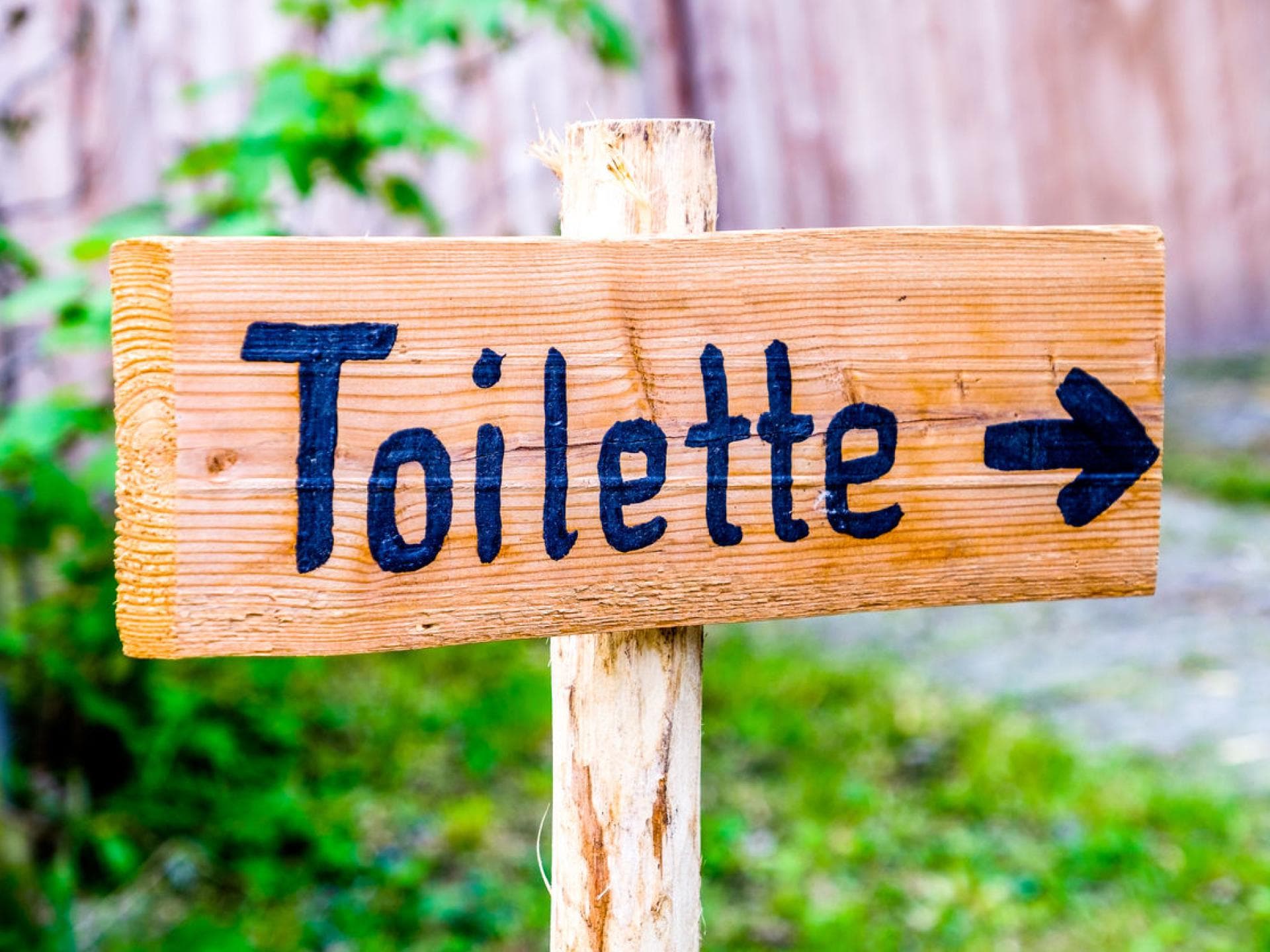 Toilettenschild