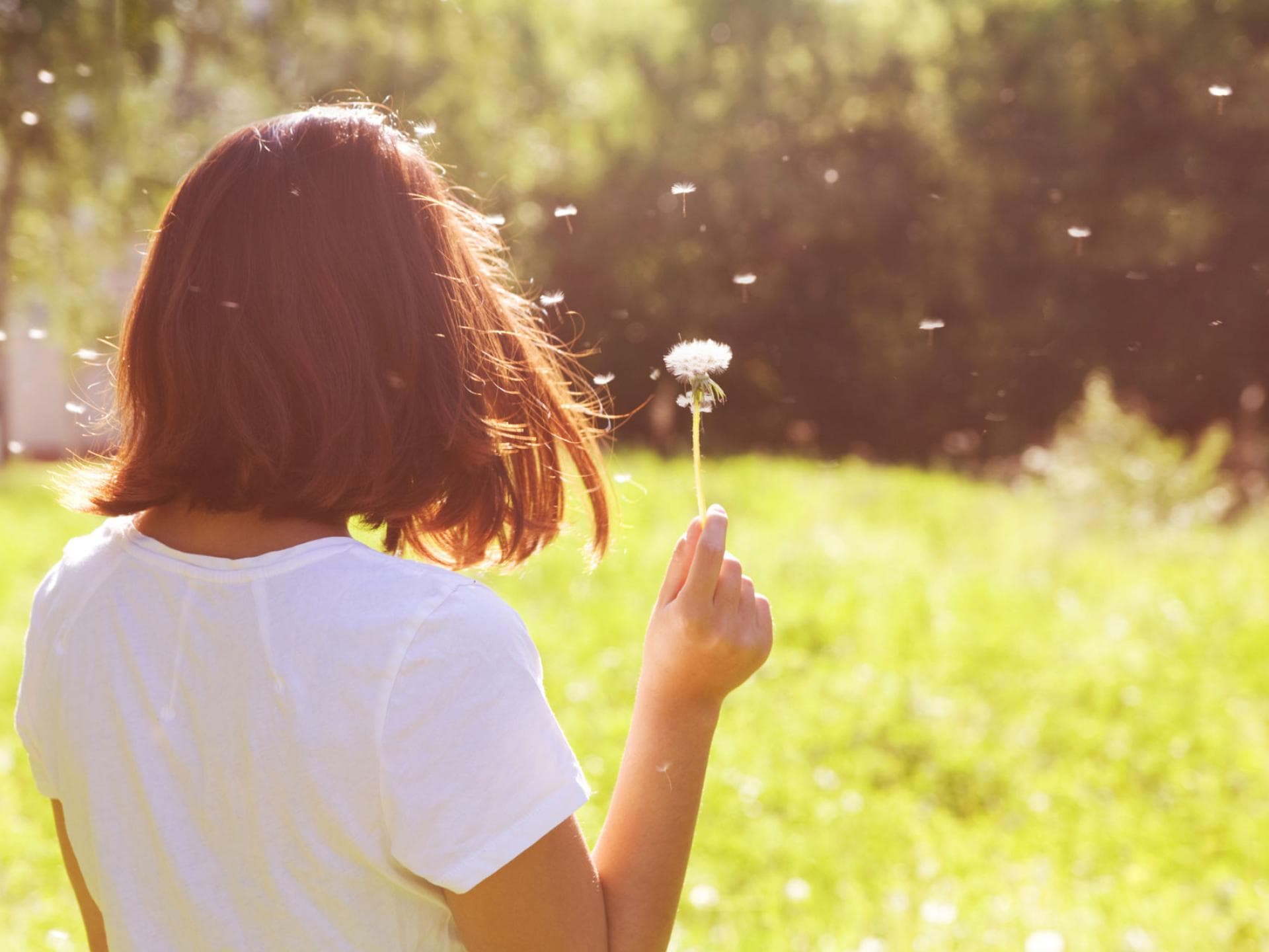 Frau auf Wiese mit Pusteblume