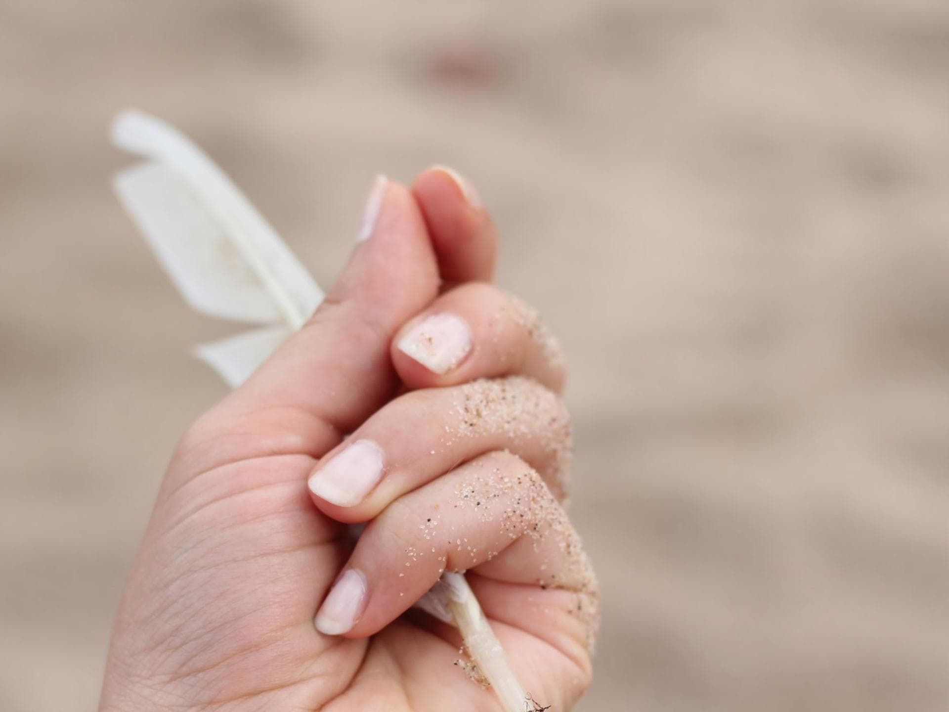 hand-mit-feder