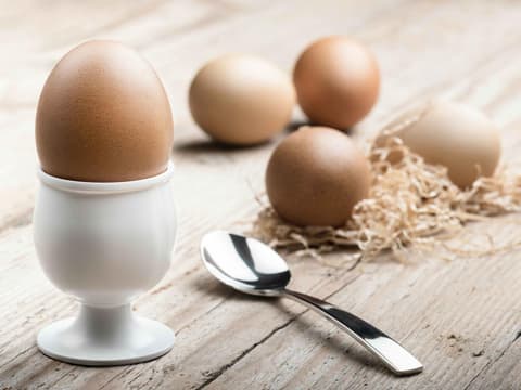 Eier