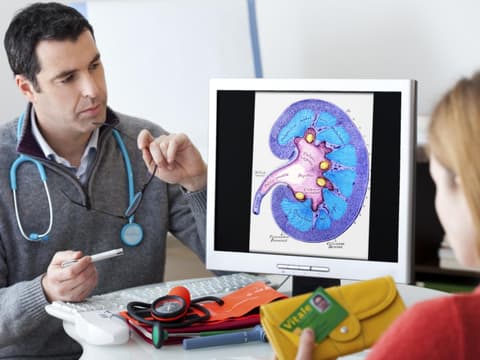 Arzt und Patientin betrachten die Grafik einer Niere