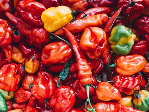 verschiedene Arten Chili auf einem Haufen