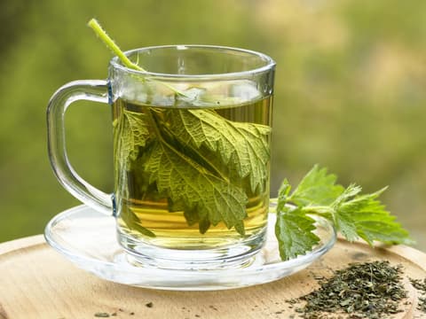 Brennnesseltee aus frischem Blatt