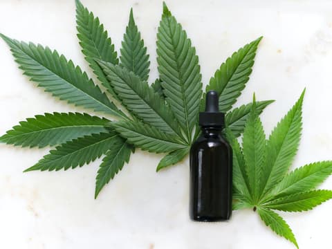 Cannabis-Öl mit Blättern