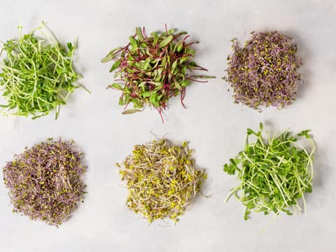 Microgreens & Sprossen