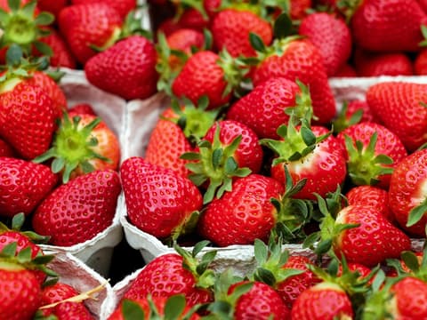 Erdbeeren in Schalen