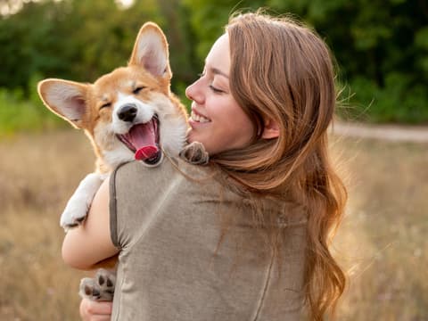 Hunde Liebe