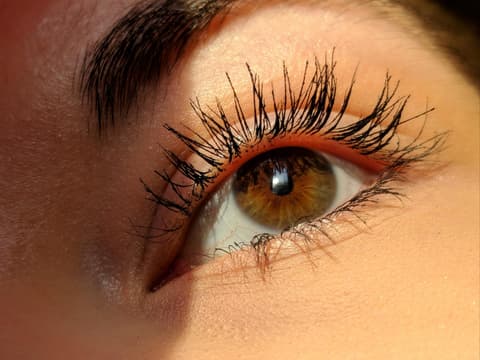 geschminktes Auge