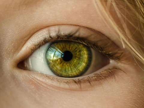 Grünes Auge