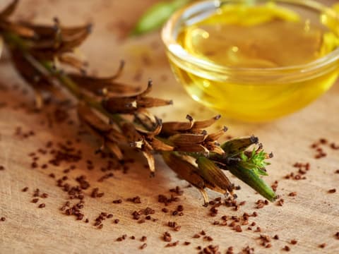 Nachtkerzenöl ist sehr gesund