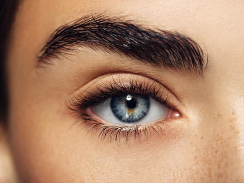 Augenbraue und Auge