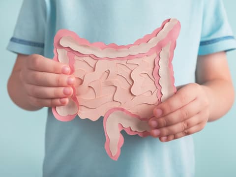 Mann hält Darmmodell aus Papier vor Bauch