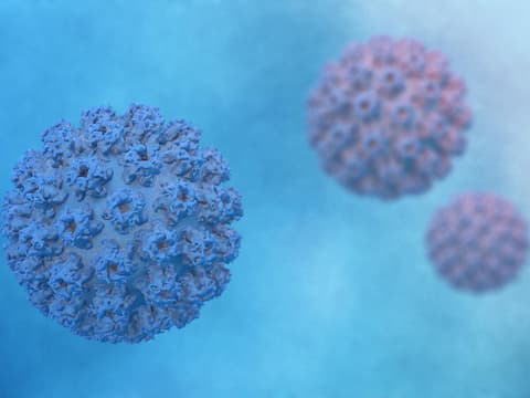 Humaner Papillomvirus