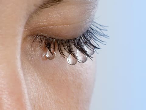 Lange Wimpern dank Rizinusöl