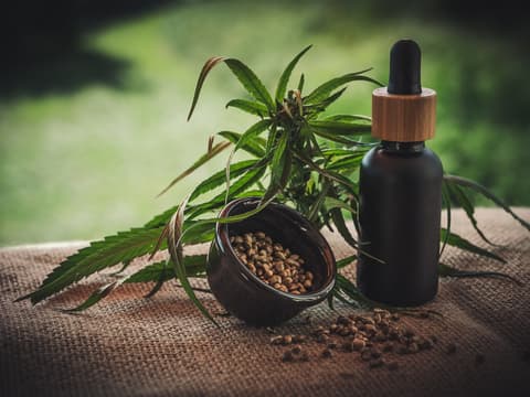 CBD-Öl