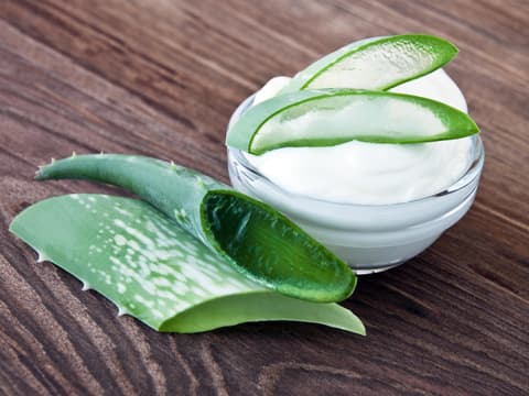 Selbstgemachte Aloe Vera Creme in einem Schälchen