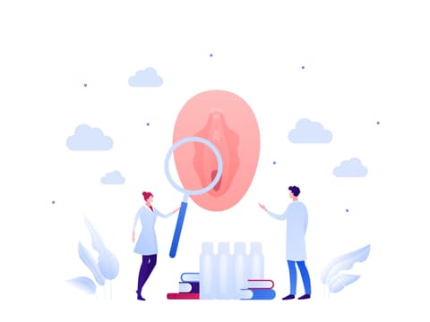 Grafik einer Vulva