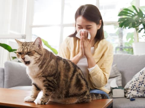 Frau hat Symptome bei Katzenhaarallergie