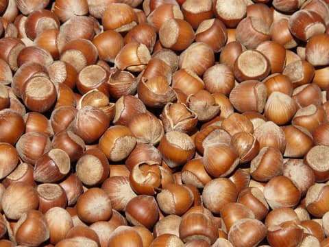 Viele Haselnüsse