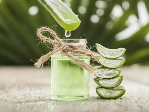 Botanical Drinks