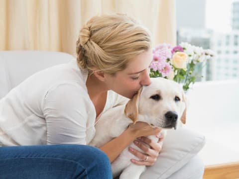 Tier für Allergiker