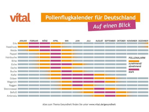 Pollenflugkalender