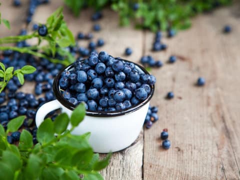 Heidelbeeren wird eine desinfizierende Wirkung nachgesagt