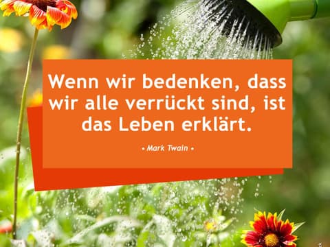 Wenn wir bedenken, dass wir alle verrückt sind, ist das Leben erklärt. - Mark Twain