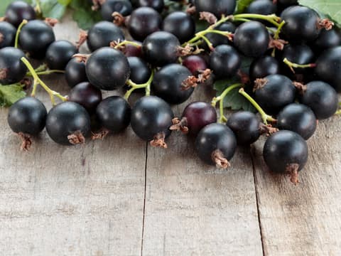 Rezepte mit Jostabeeren
