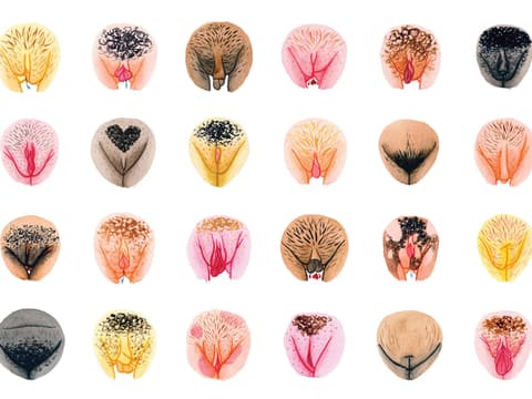 Jede Vulva ist anders