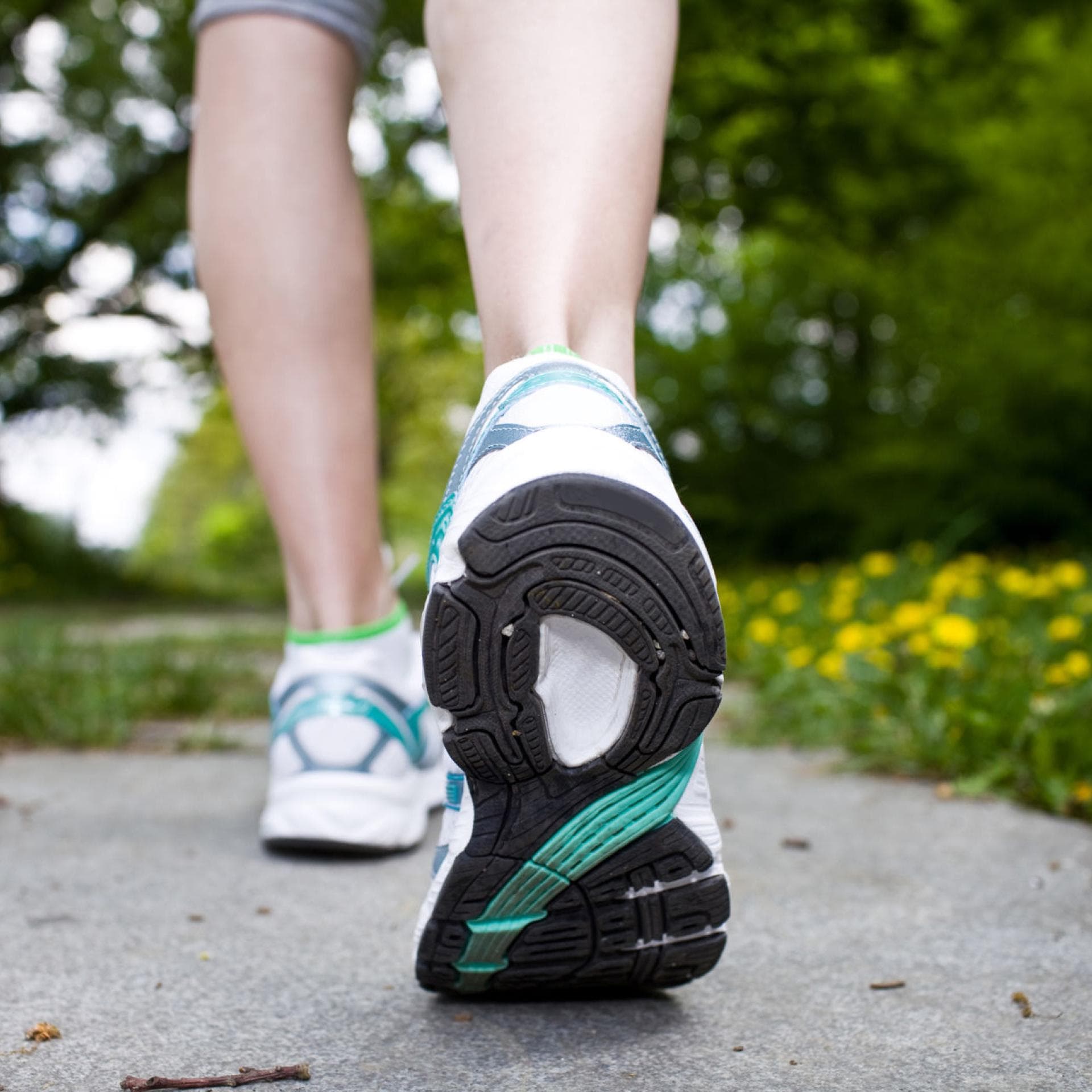 Galopp Botanik Kindergarten wie finde ich den perfekten laufschuh Elend Salon Anzahlung