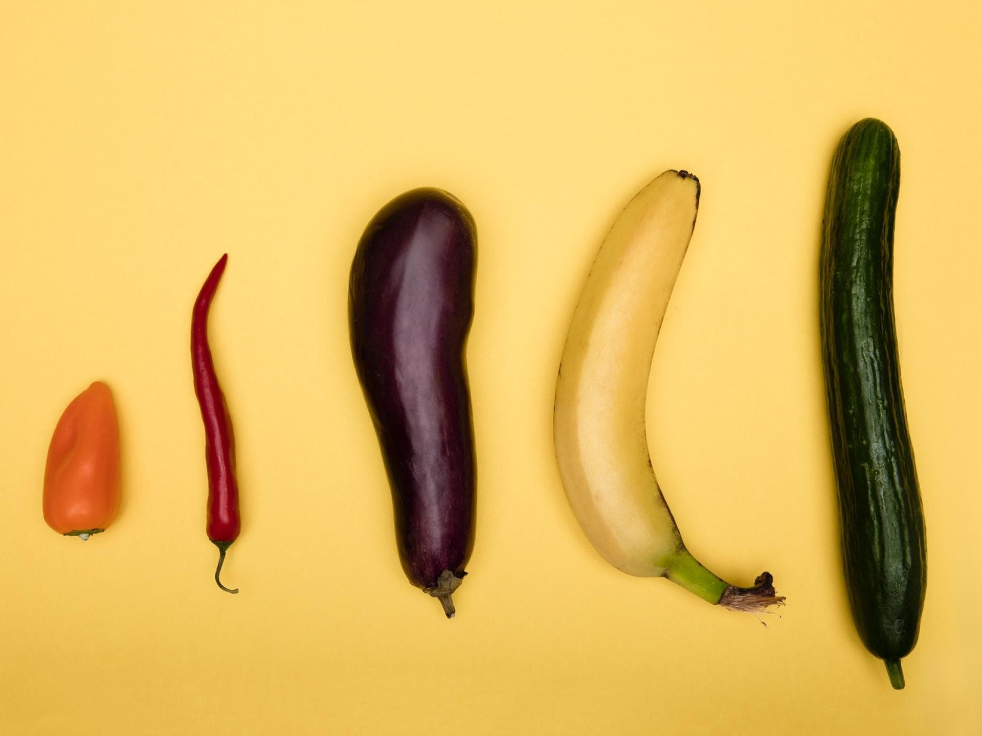 Blutpenis Oder Fleischpenis Was Ist Der Unterschied