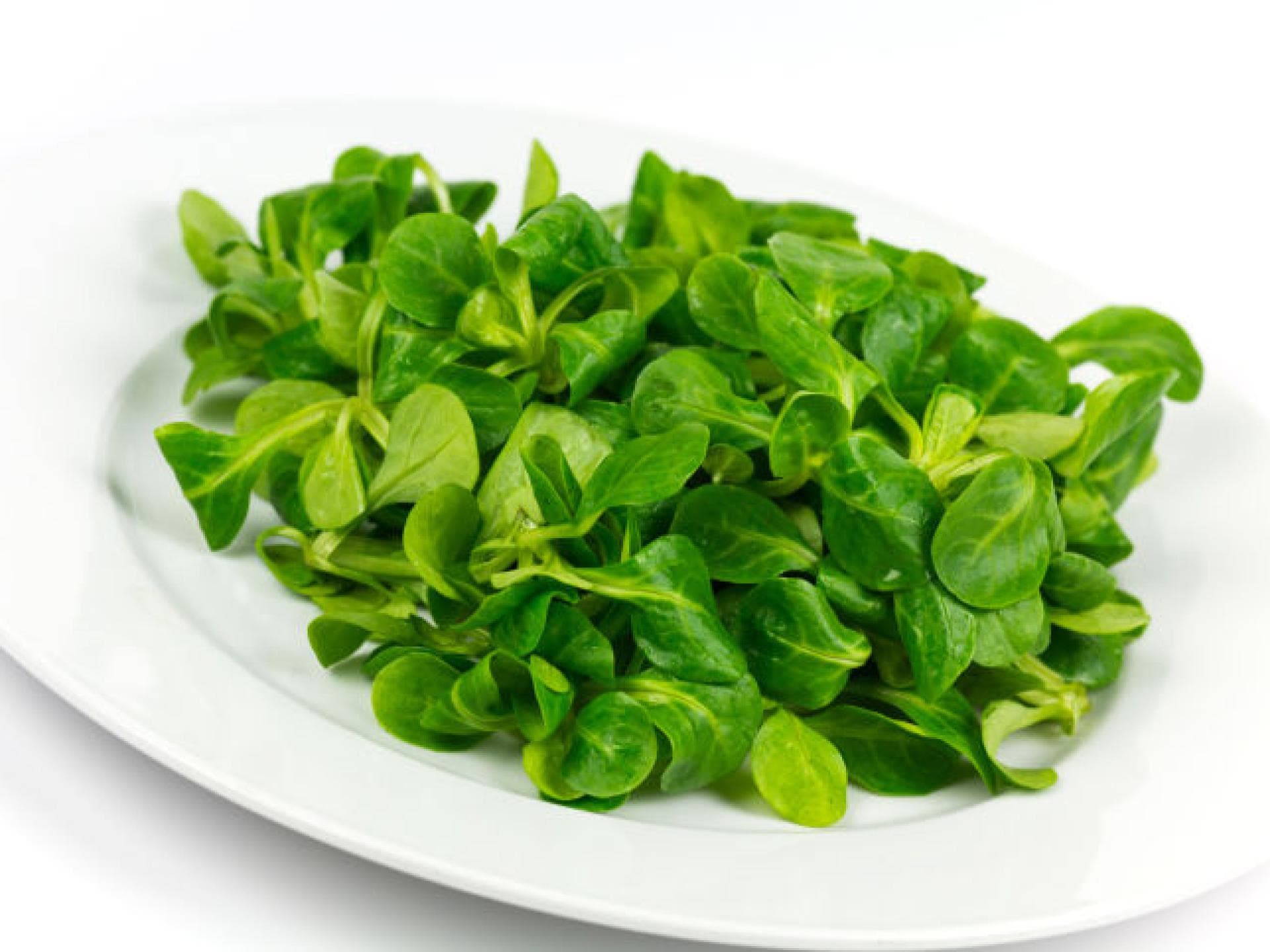 Die Wichtigsten Vitamin B Lebensmittel
