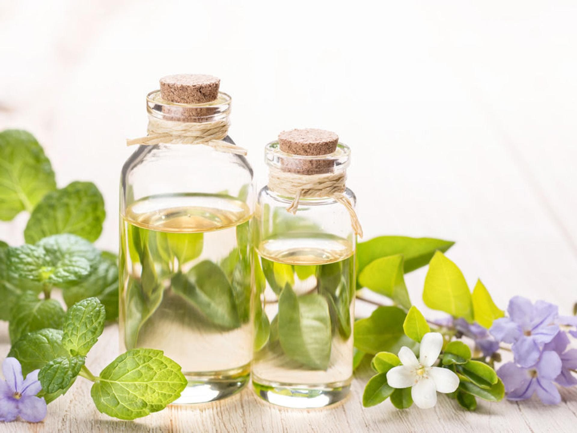 Bio Shampoo Selber Machen