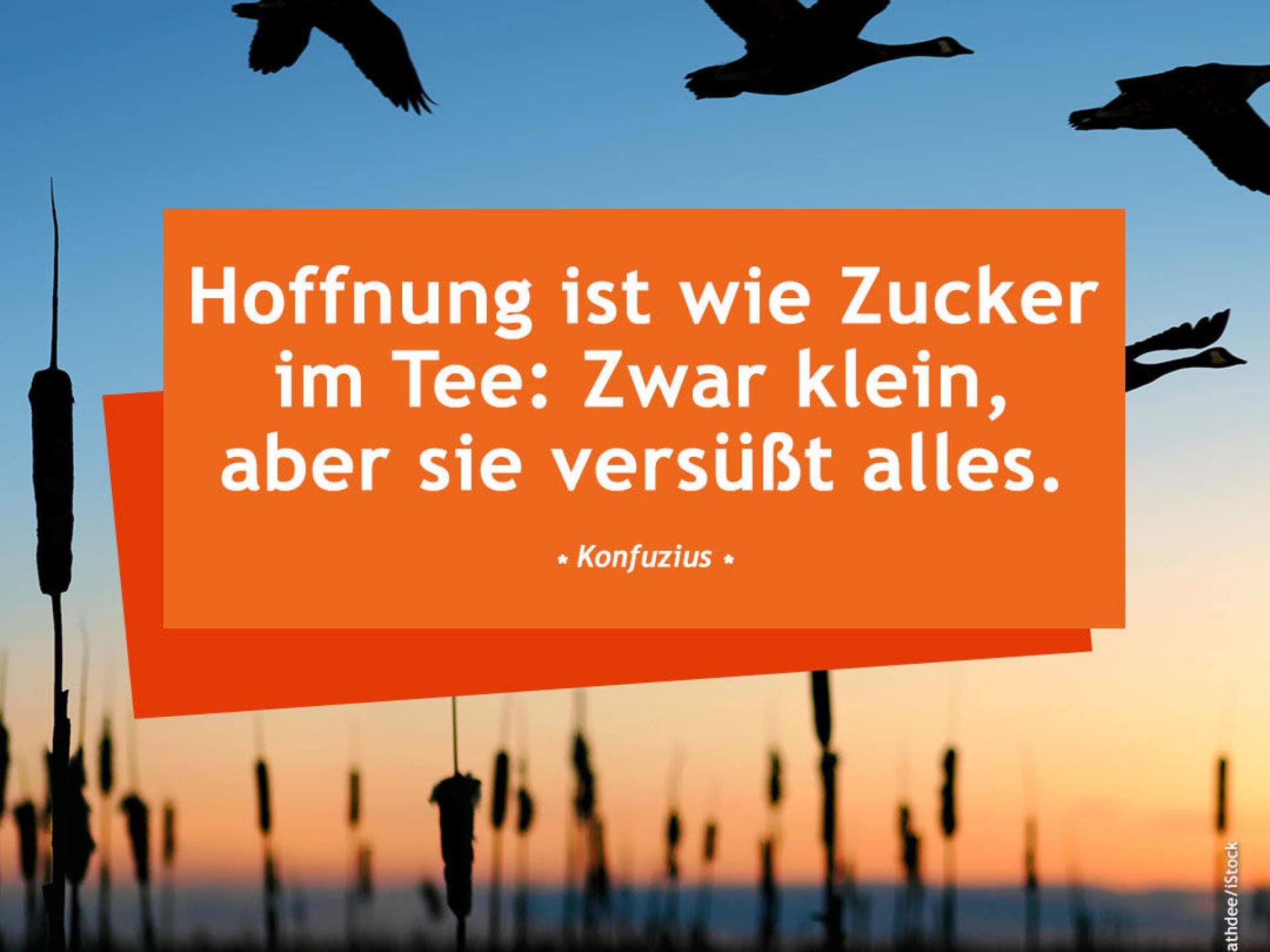 Die Schonsten Spruche Zum Nachdenken