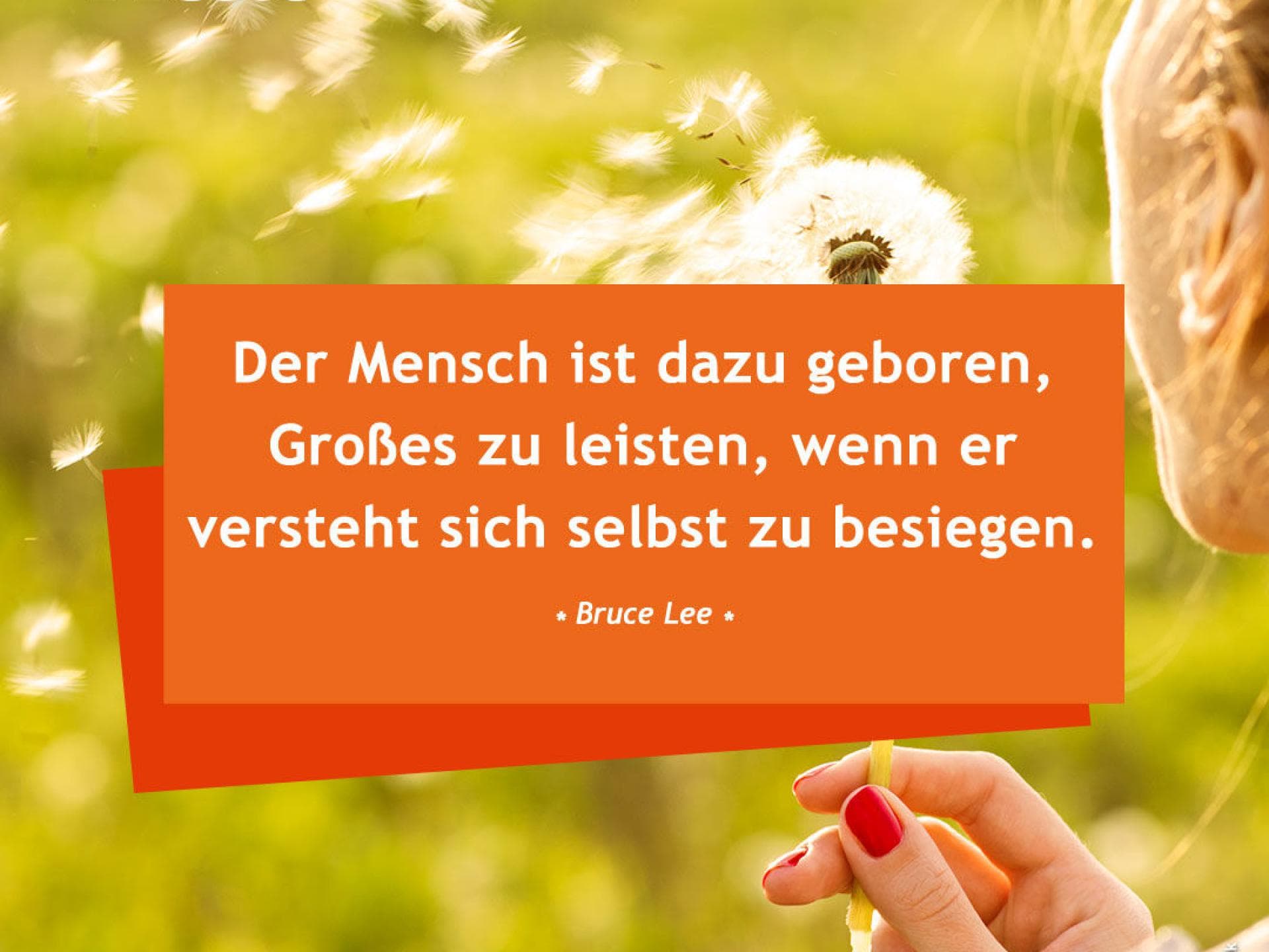 Die Schonsten Spruche Zum Nachdenken Pöhm, autor des buches der glücksdurchbruch ist ein spiritueller lehrer, der lebensweisheiten gesammelt hat, die etwas weiter gehen, als die üblichen.