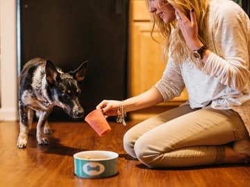 Hund, Katze & Co.: Was gehört wirklich in den Futternapf? Hund, Katze & Co.: Was gehört wirklich in den Futternapf?