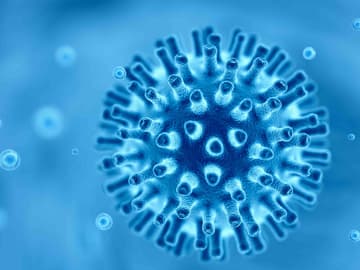 Coronavirus Coronavirus