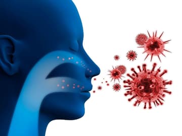 Virus Virus
